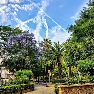  Apartamento Colon Pondos